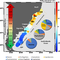 Variação dos fluxos de CO2 entre o oceano e a atmosfera na região costeira ocidental do oceano Atlântico Sul