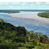Foz do Amazonas
