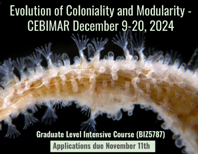 Evolution of Coloniality and Modularity - CEBIMAR December 9-20, 2024