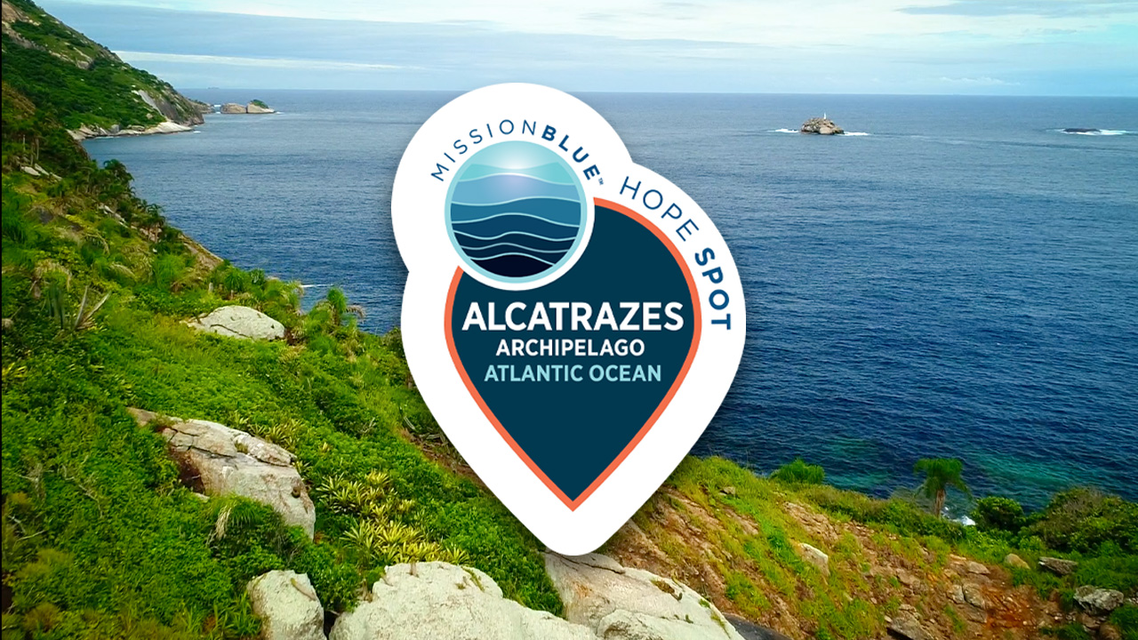 Alcatrazes Archipelago HSL Video Web Thumbnail