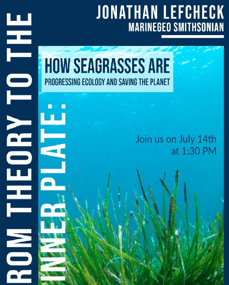 CEBIMário: From theory to the dinner plate: how seagrasses are progressing ecology and saving the planet