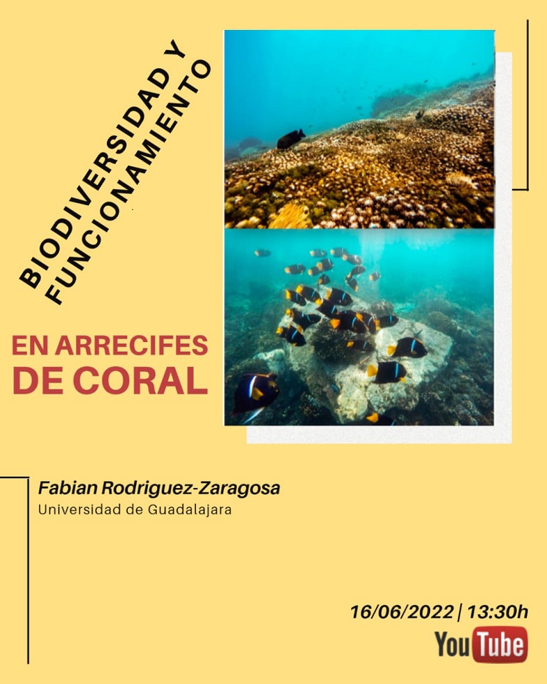 CEBIMário: Biodiversidad y funcionamiento en arrecifes de coral