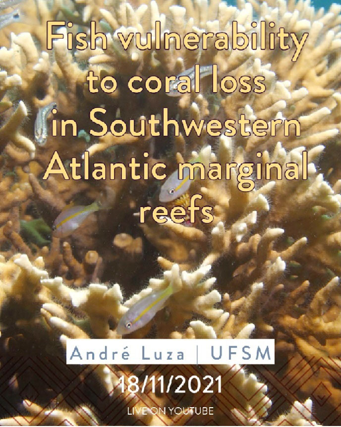 CEBIMário: Fish vulnerability to coral loss in Southwestern Atlantic marginal reef
