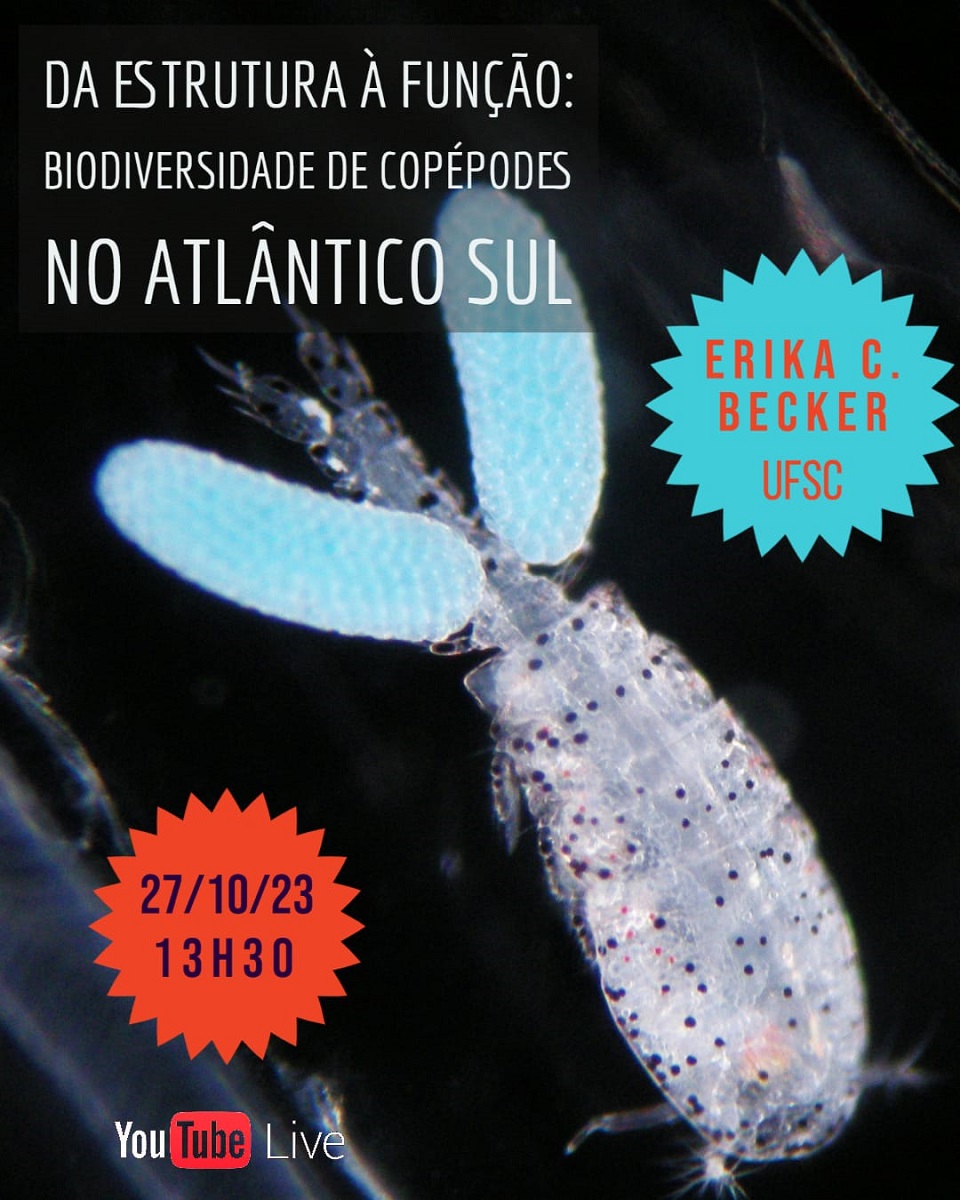 CEBIMário: Da estrutura à função: biodiversidade de copépodes no Atlântico Sul
