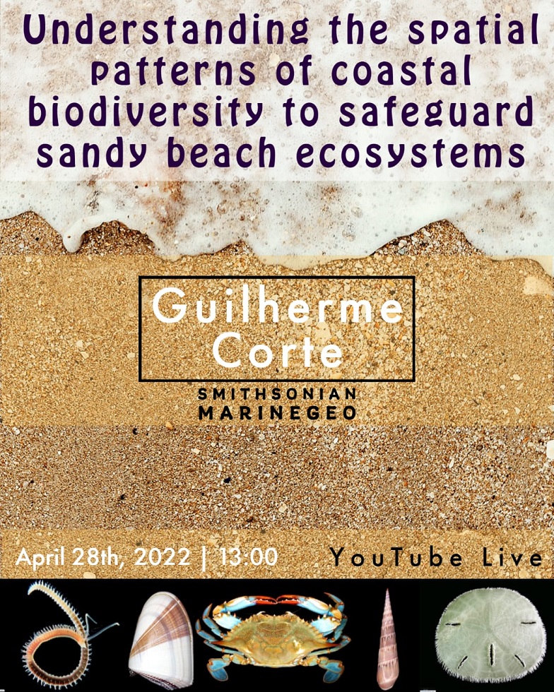 CEBIMário: Understanding the spatial patterns of coastal biodiversity to safeguard sandy beach ecosystems