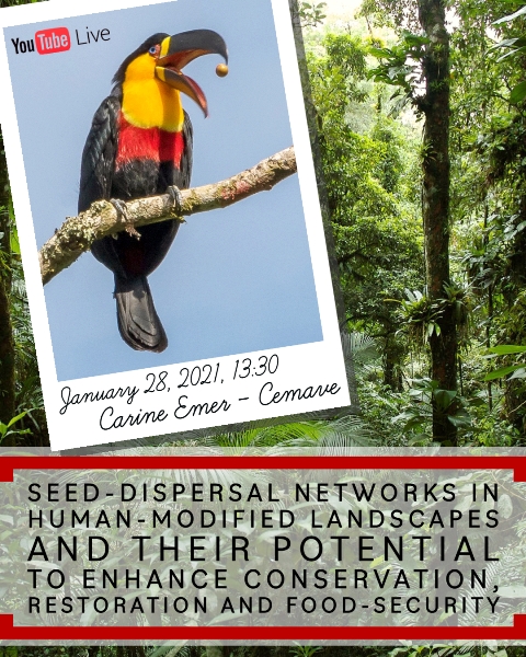 CEBIMário: Seed-dispersal networks in human-modified landscapes and their potential to enhance conservation, restoration and food-security.