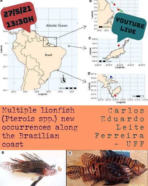CEBIMário: Multiple Lionfish pterois spp new occurrences along the Brazilian coast