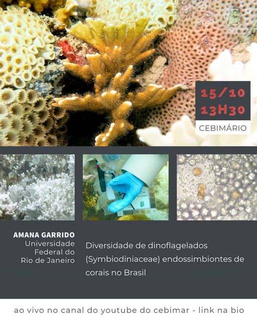 CEBIMário: Diversidade de dinoflagelados (Symbiodiniaceae) endossimbiontes de corais no Brasil