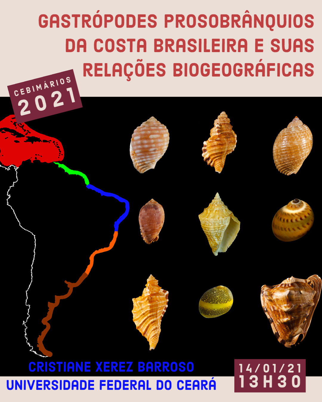 CEBIMário: Gastrópodes prosobrânquios da costa brasileira e suas relações biogeográficas
