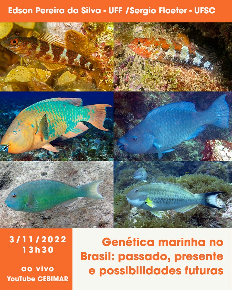 CEBIMário: Genética marinha no Brasil: passado, presente e possibilidades futuras