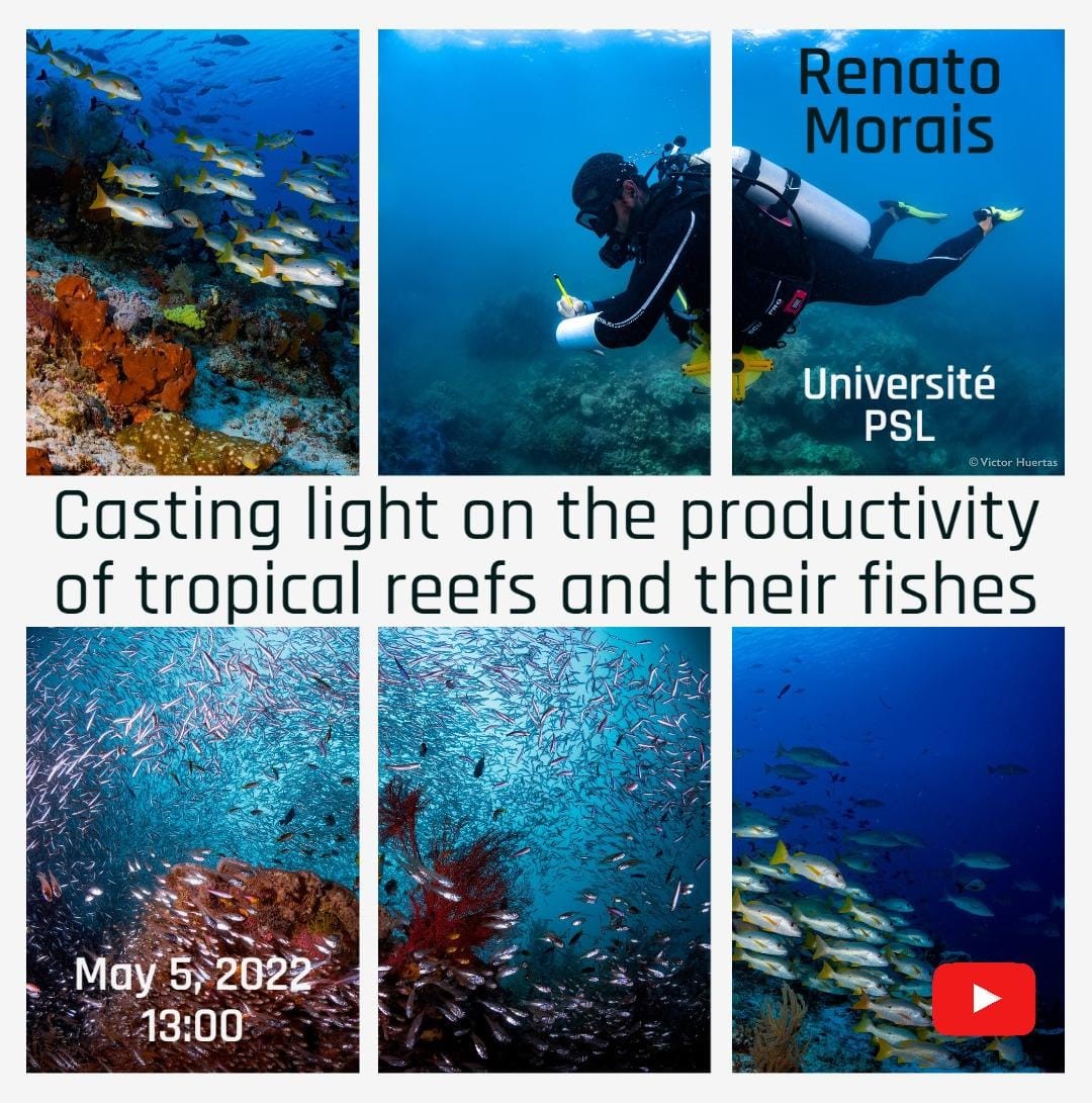 CEBIMario: Casting light on the productivity of tropical reefs and their fishes 
