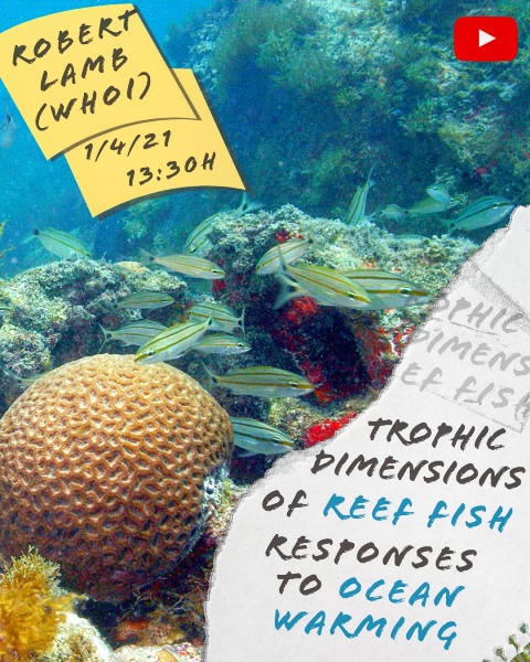 CEBIMário: Trophic dimensions of reef fish responses to ocean warming