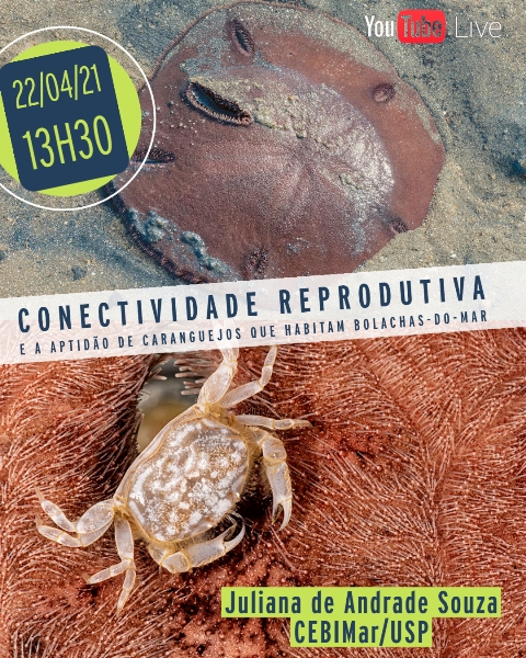 CEBIMário: A abundância e a seleção ativa de manchas modulam a conectividade reprodutiva e a aptidão de caranguejos que habitam bolachas do mar