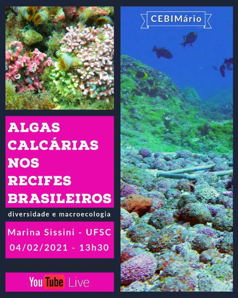 CEBIMário: Algas calcárias nos recifes brasileiros - diversidade e macroecologia