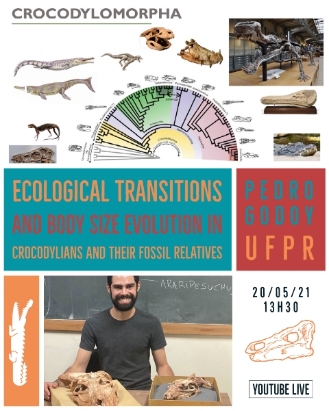 CEBIMário: Ecological transitions and body size evolution in crocodylians and their fossil relatives