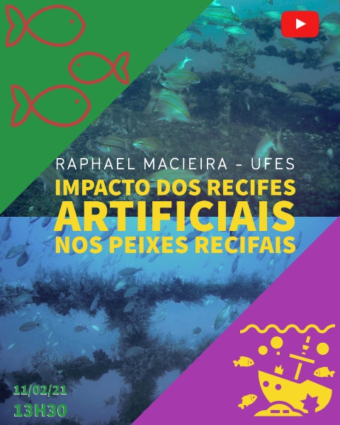 CEBIMário: Impacto dos recifes artificiais nos peixes recifais